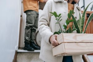 Çevre dostu paketleme malzemeleriyle taşınma sürecini gösteren bir sahne